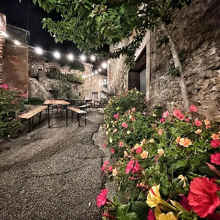 Borgo A Monti Di Sotto Gaiole in Chianti