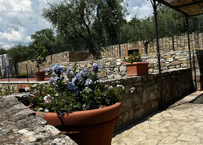 Hébergement de vacances Borgo A Monti Di Sotto *