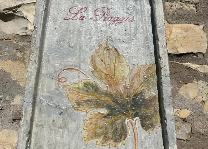 Hébergement de vacances Borgo A Monti Di Sotto